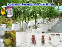 WeLcoME To bp3kbamburuncingparakan's BloGs (suMbeR ...