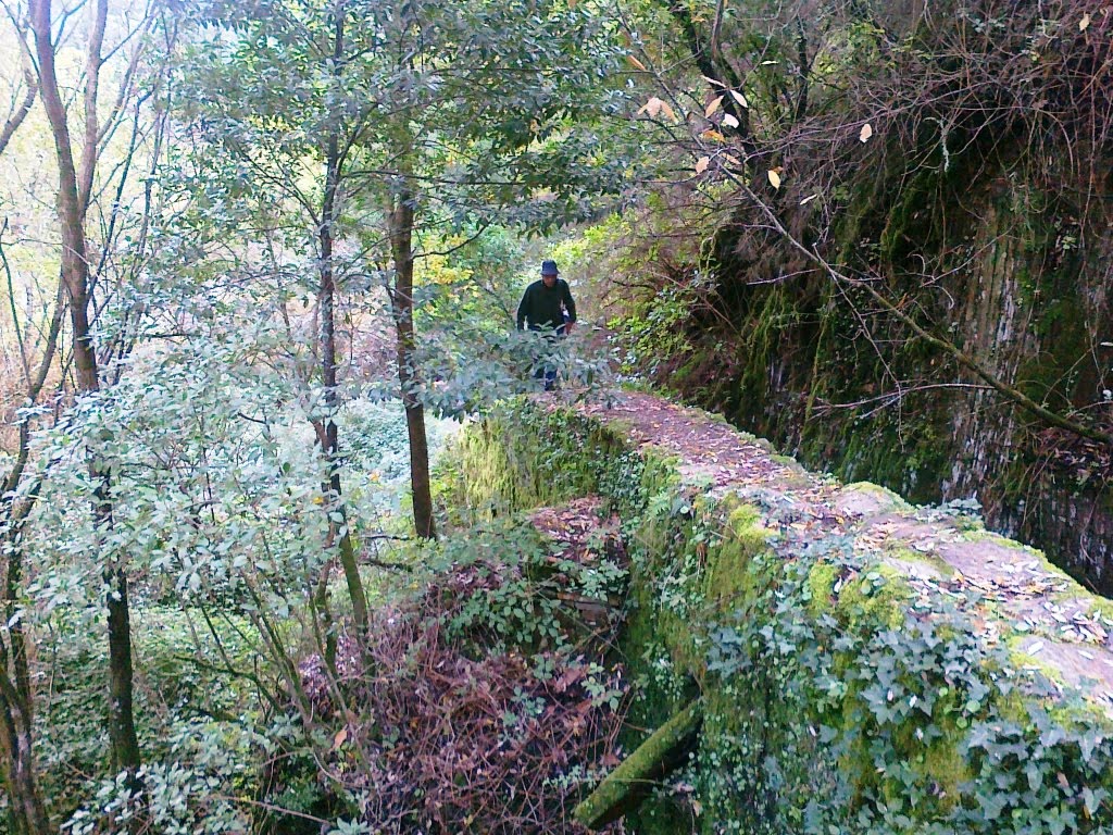 [08122009068.jpg]
