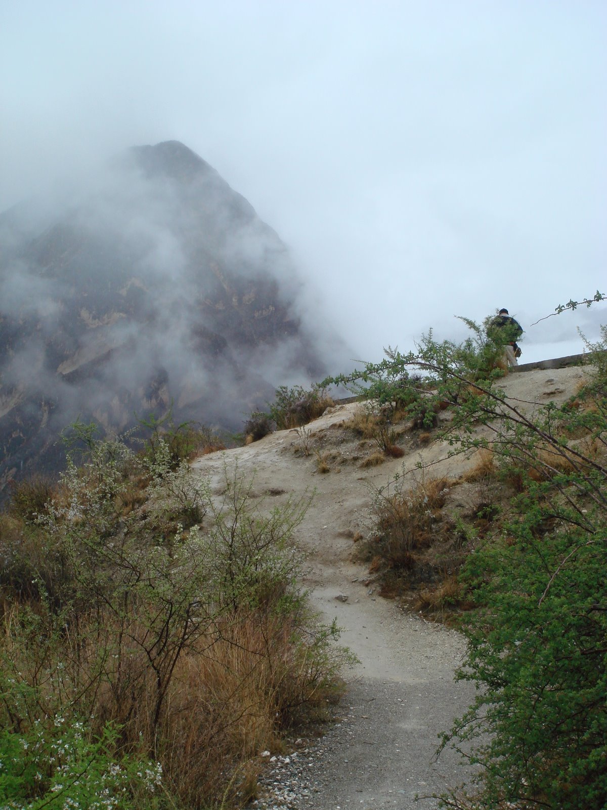 [DSC01771.JPG]