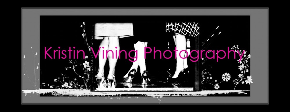 Kristin Vining Photography