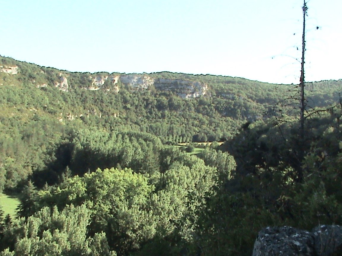 [DSC00699.JPG]