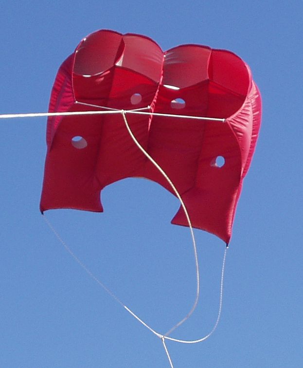 [Kite+rojo.jpg]