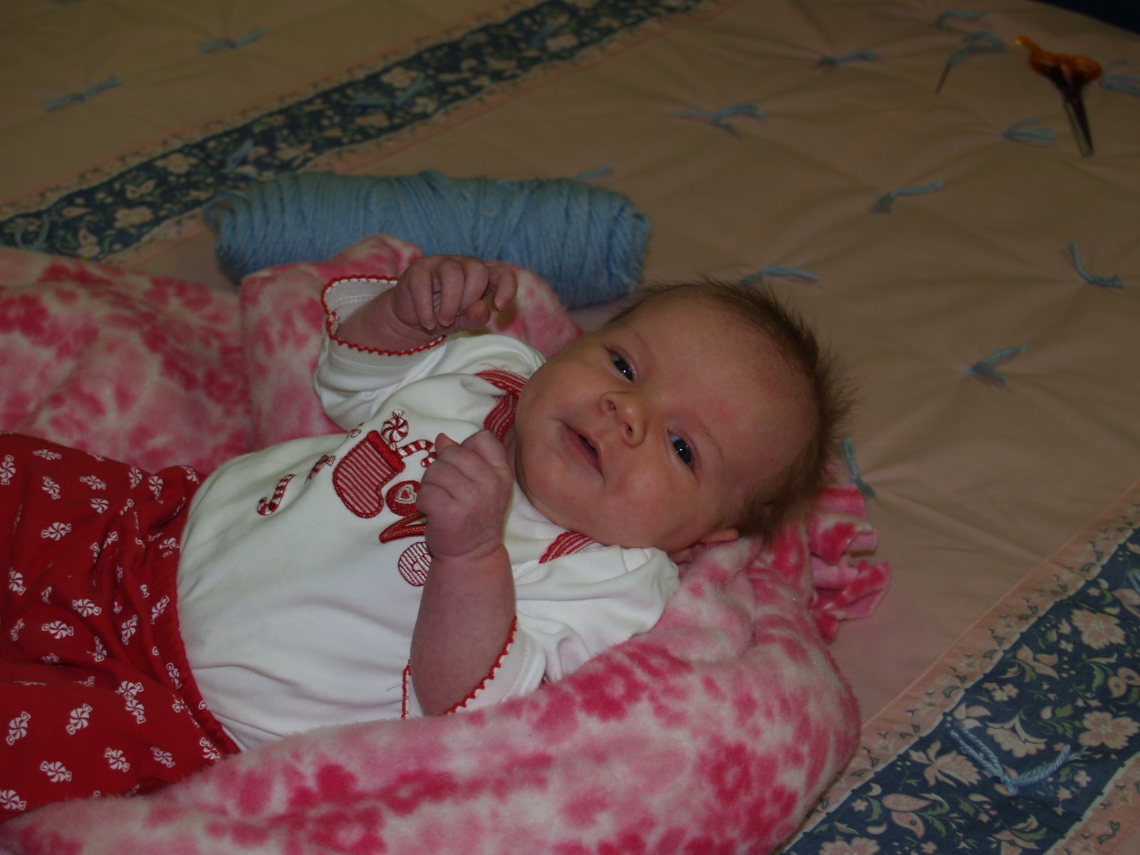 [P1091440.JPG]