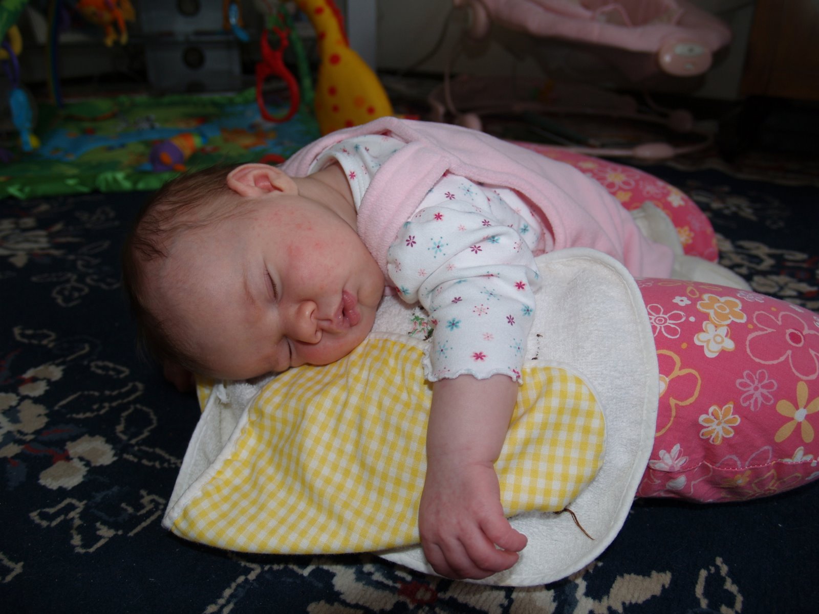 [P1171565.JPG]