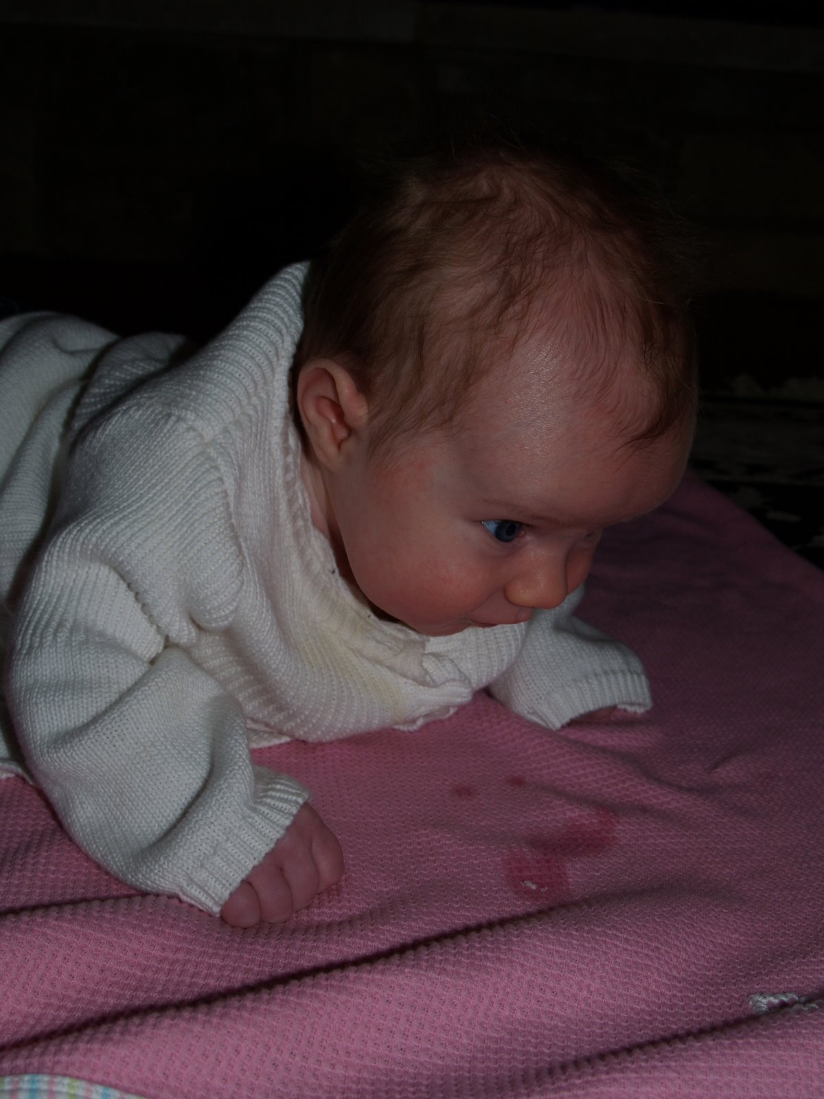 [P2142068.JPG]