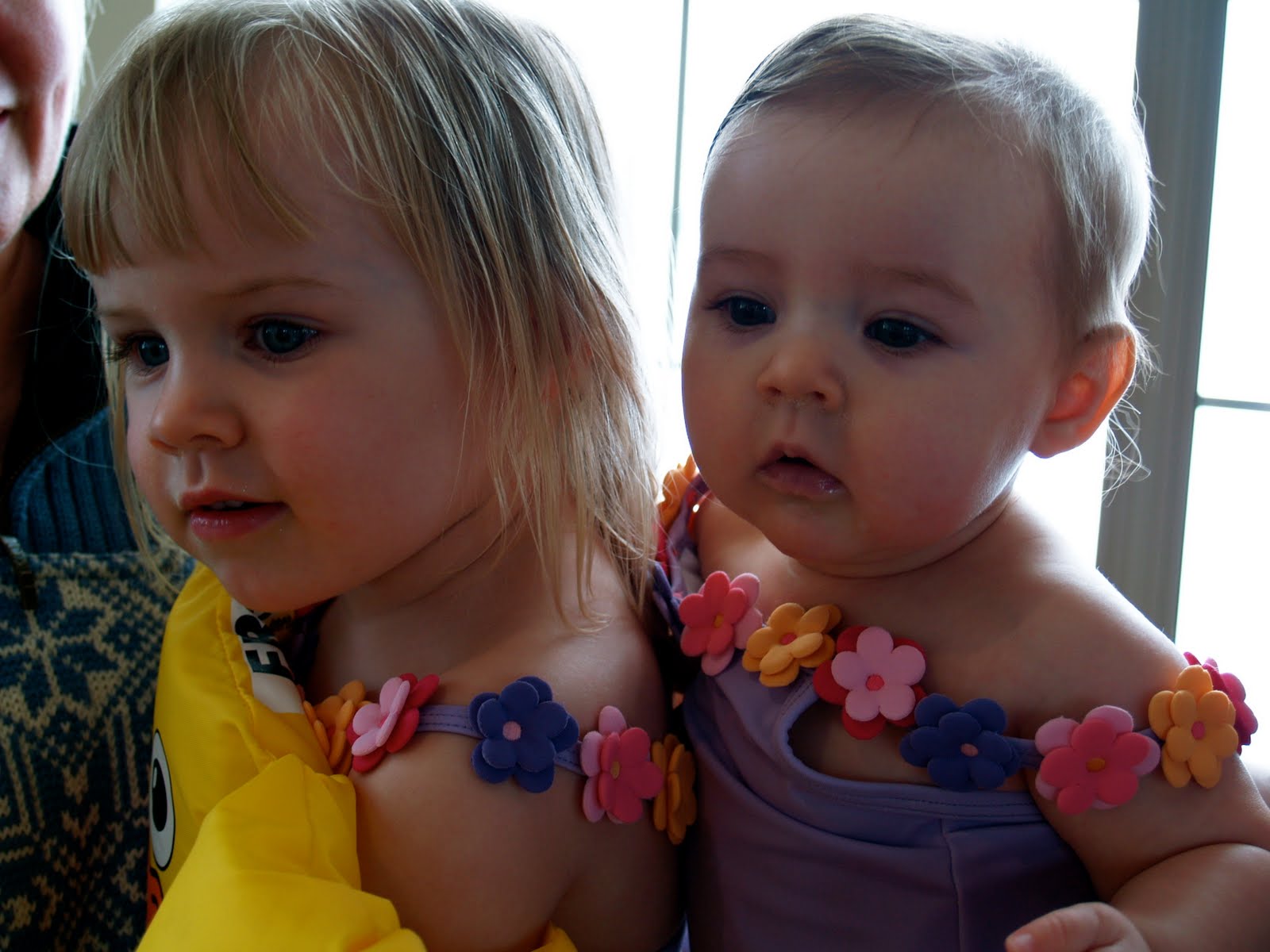 [P2062713.JPG]
