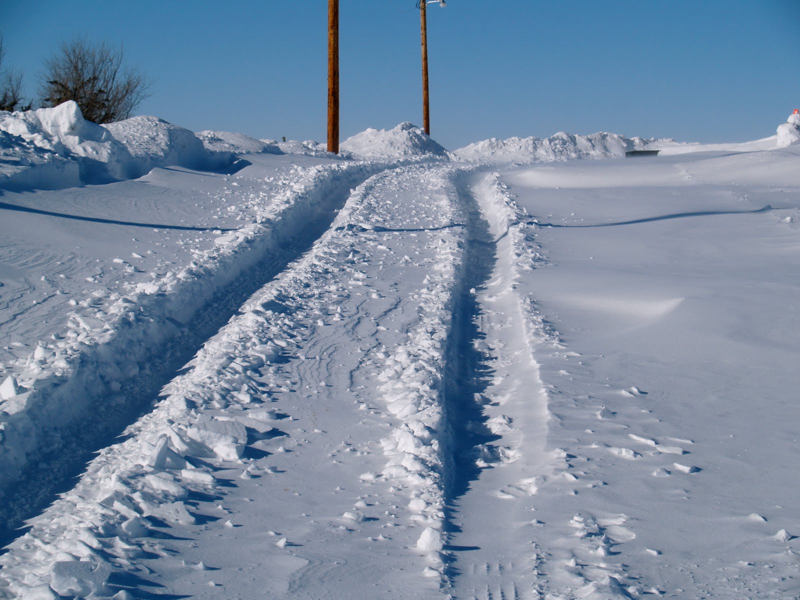 [P2142847.JPG]