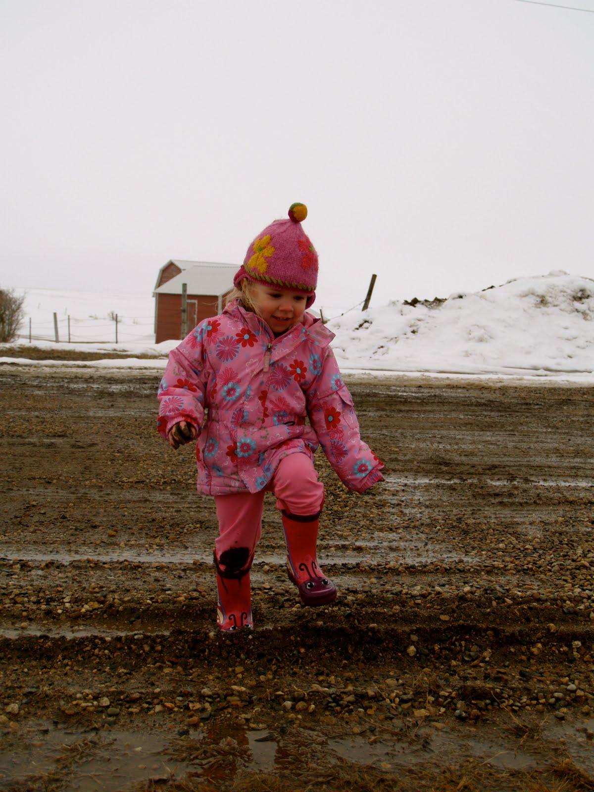 [P3123209.jpg]
