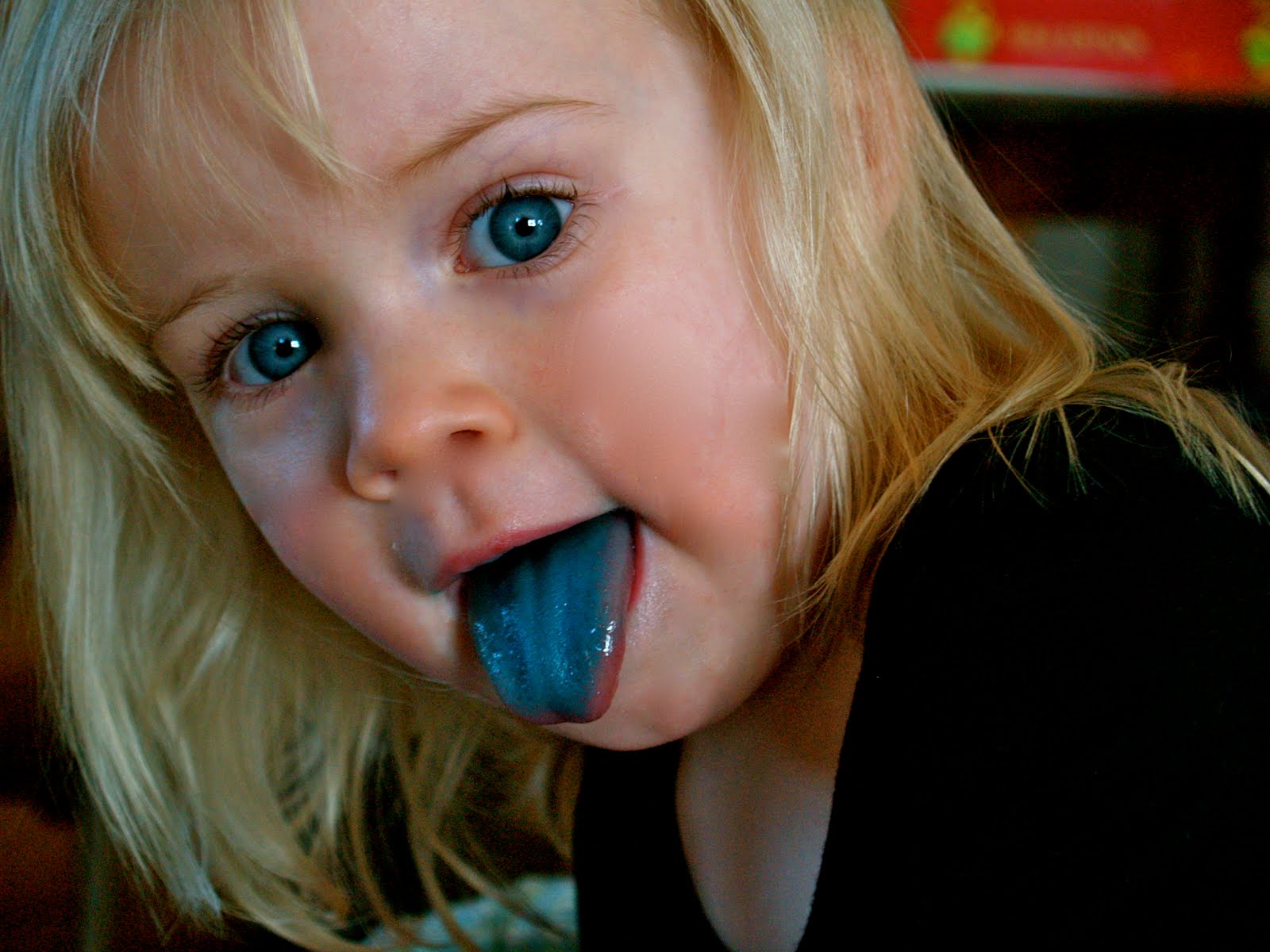 [E_bluetongue+002.jpg]