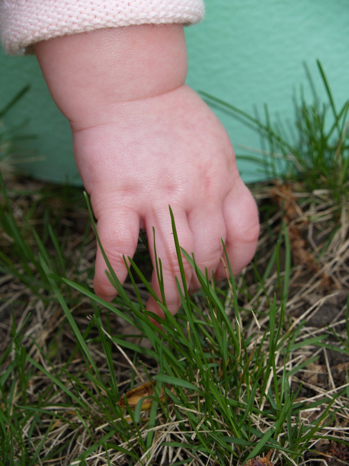 [Elissa+feels+spring+grass.JPG]