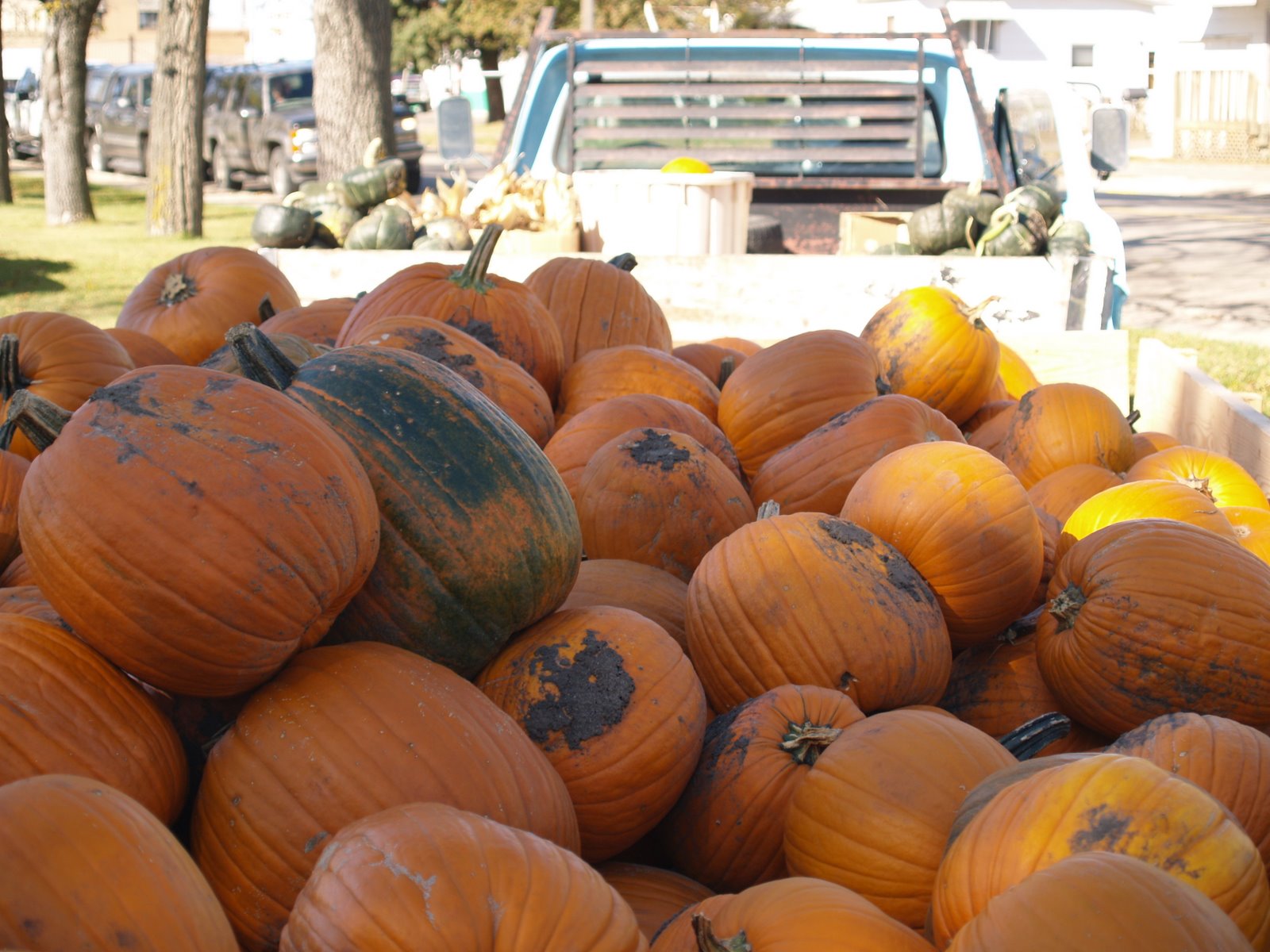 [oct+08+040.jpg]