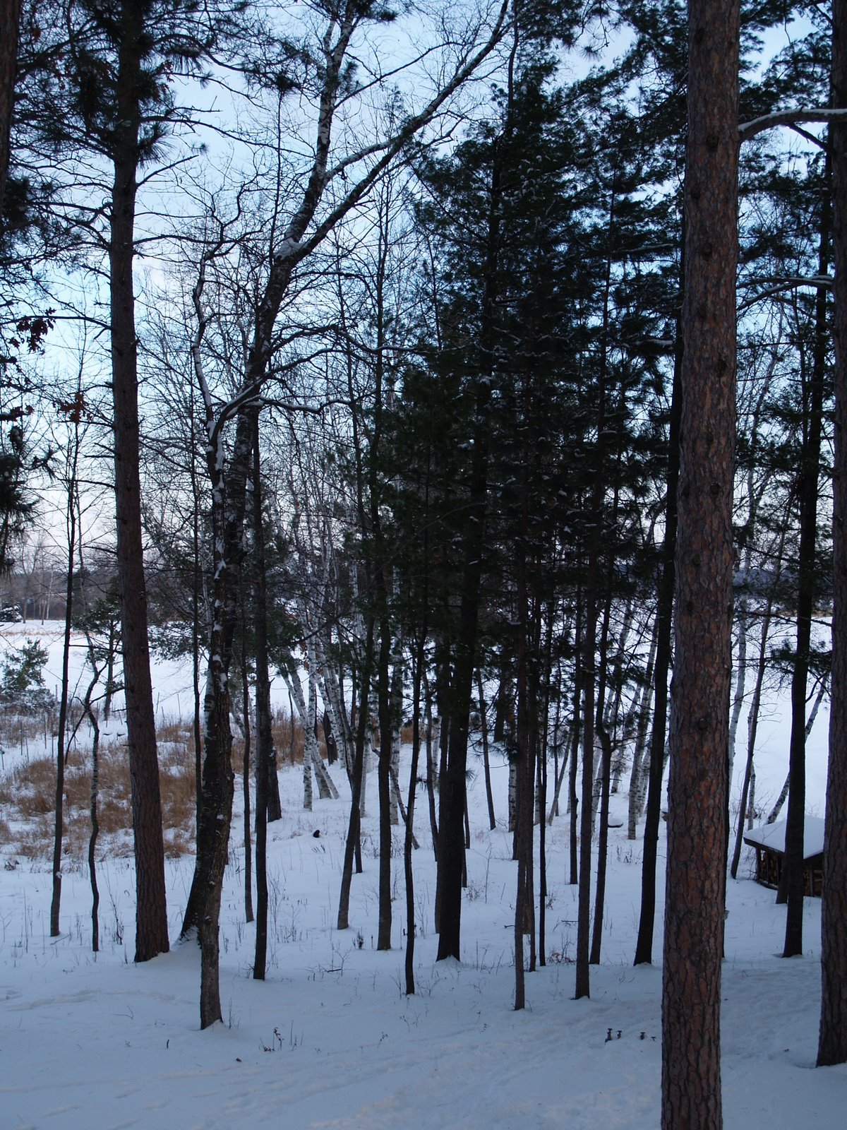 [New+Years+09_MN+016.jpg]