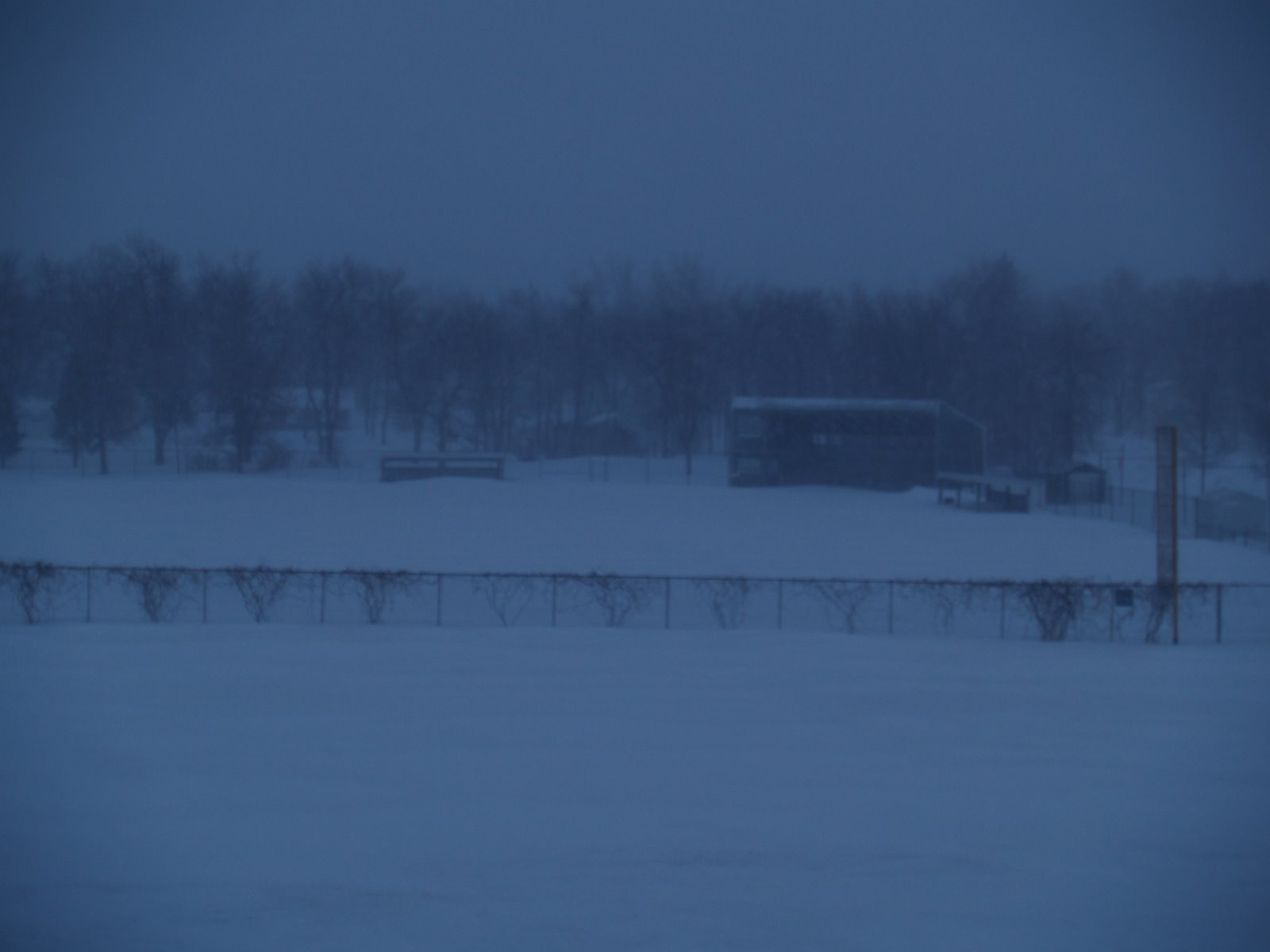 [blizzardday+002.jpg]