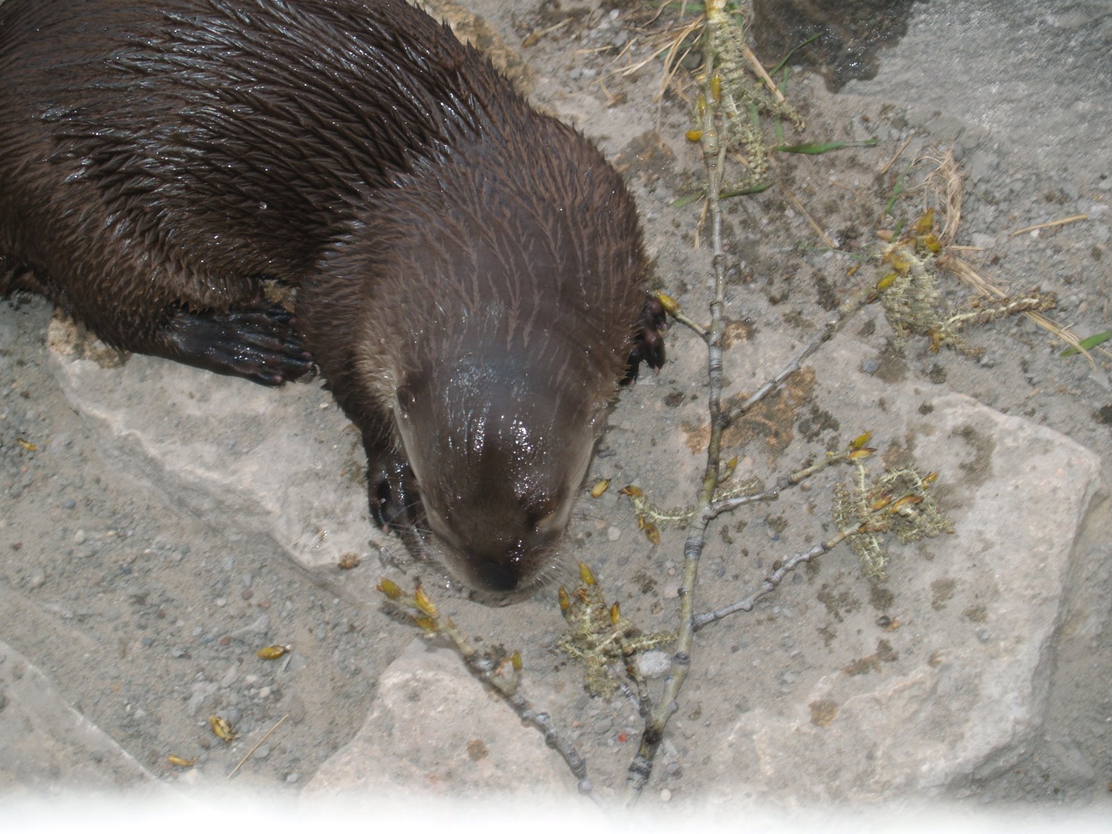 [hunter_5thgrd_zootrip+002.jpg]