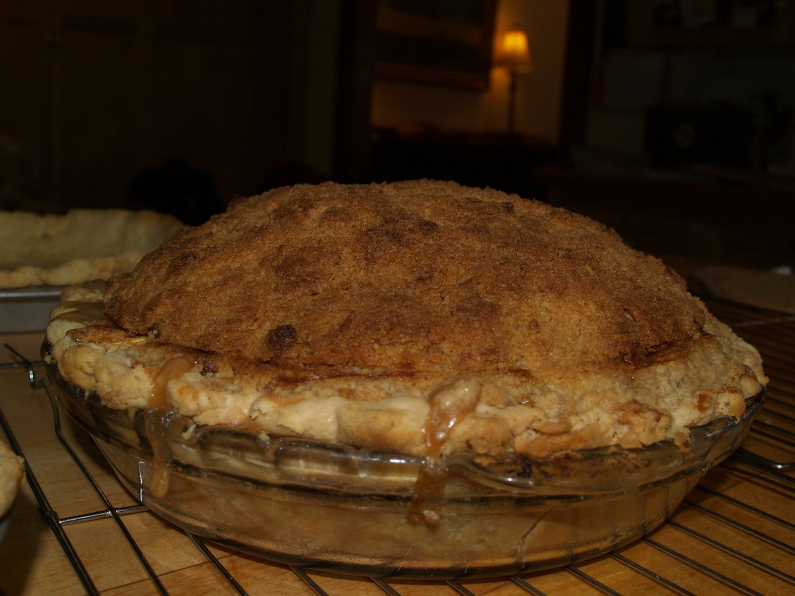 [pies+013.jpg]