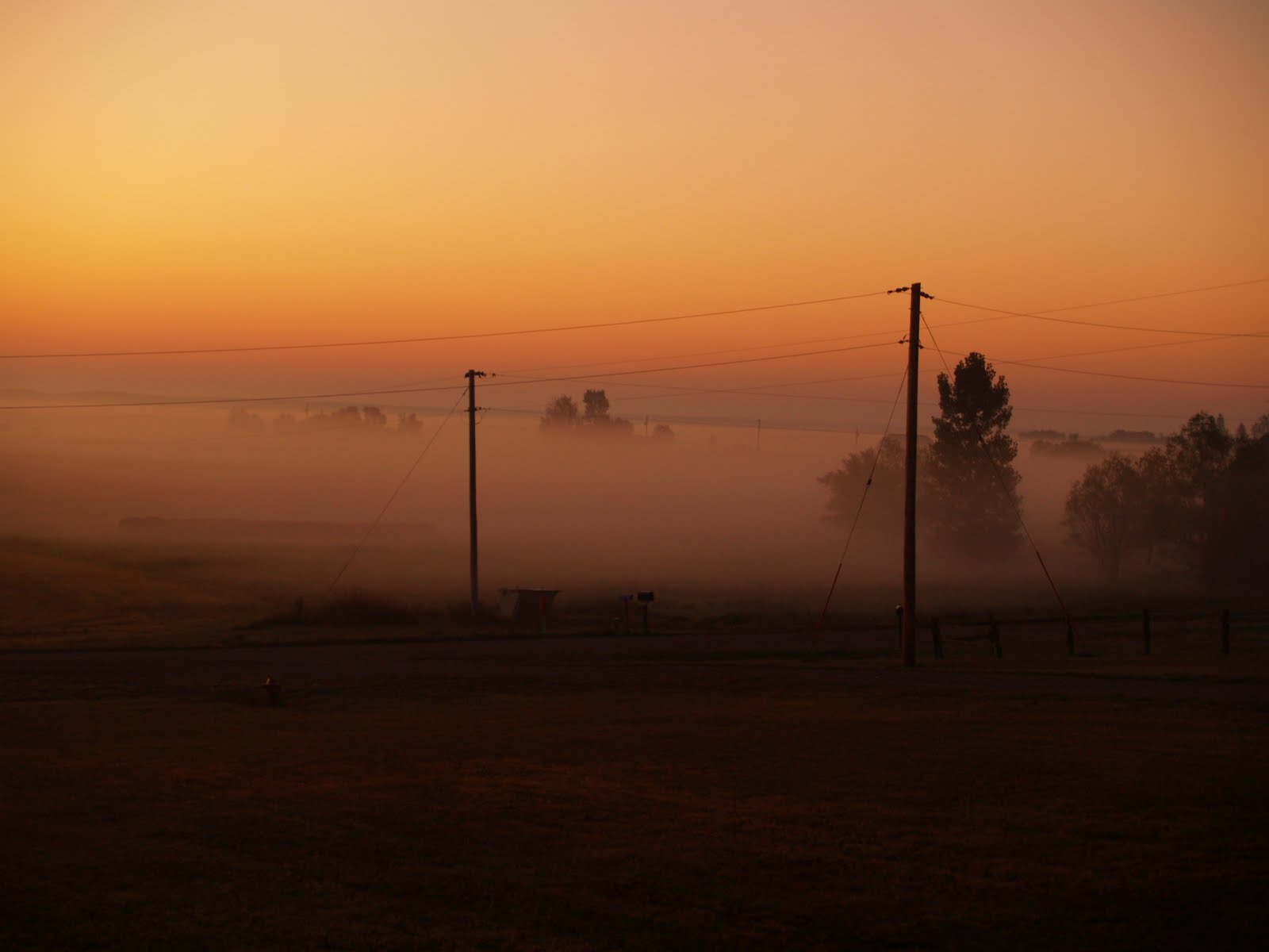[earlyAM_fall+008.jpg]