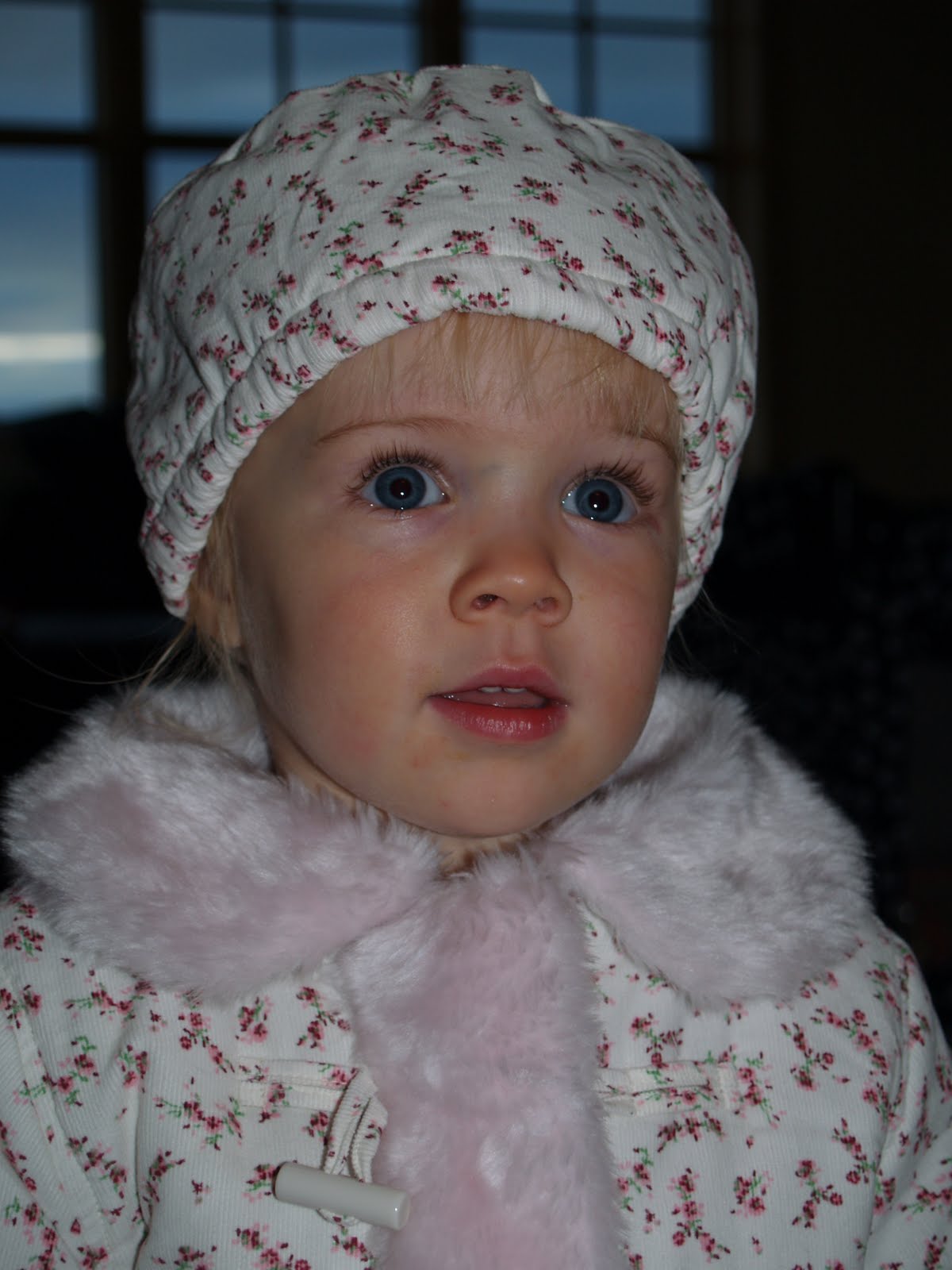 [fall_hats+003.jpg]