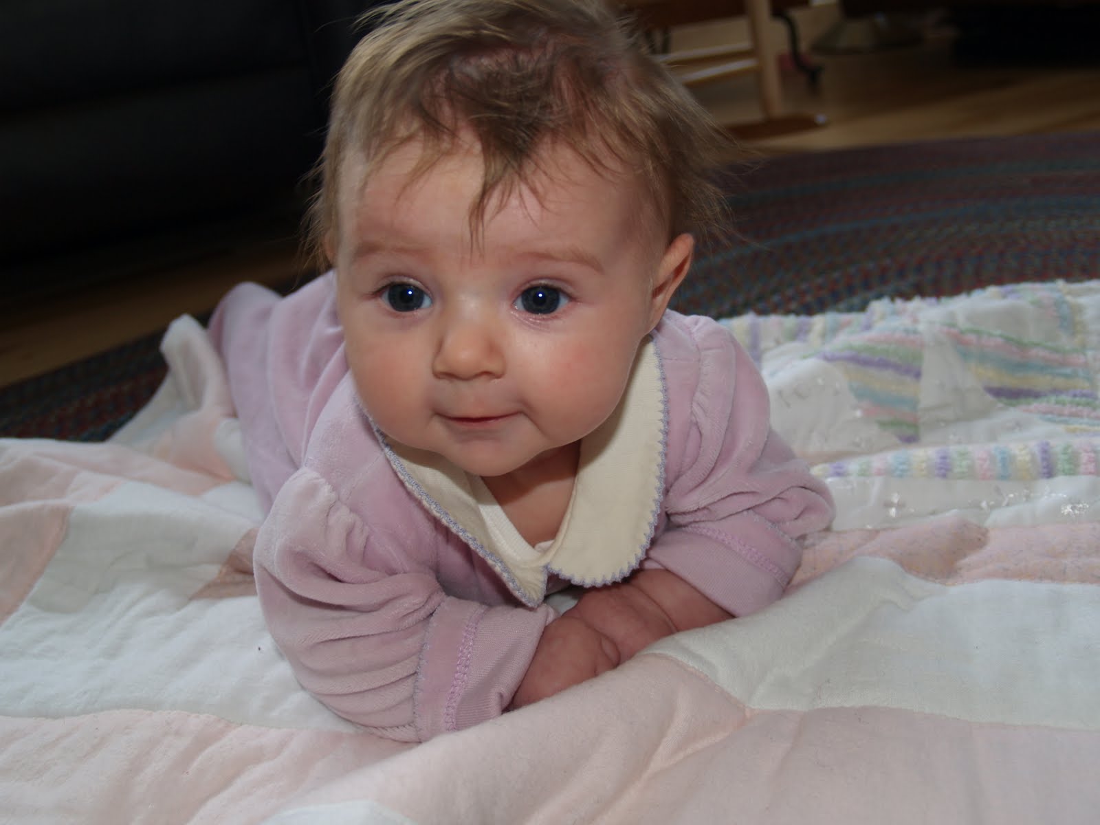 [anika+rolls_93009+005.jpg]