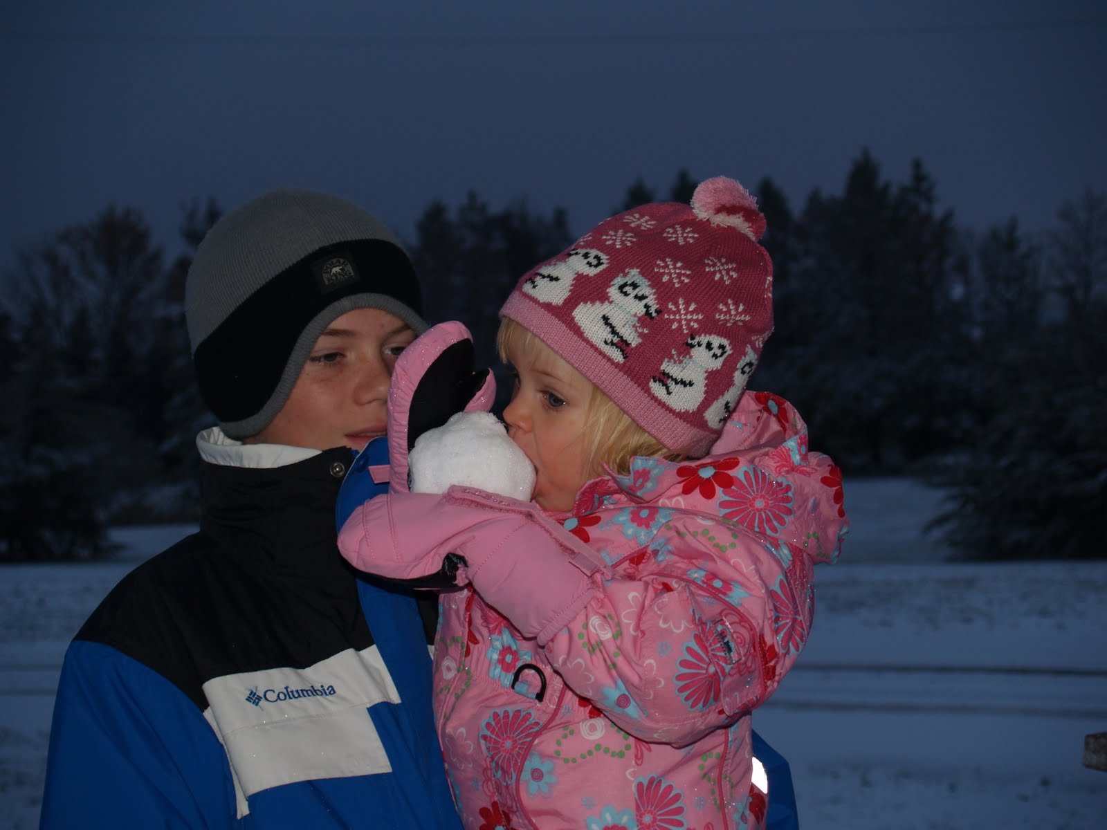 [snow_101509+005.jpg]