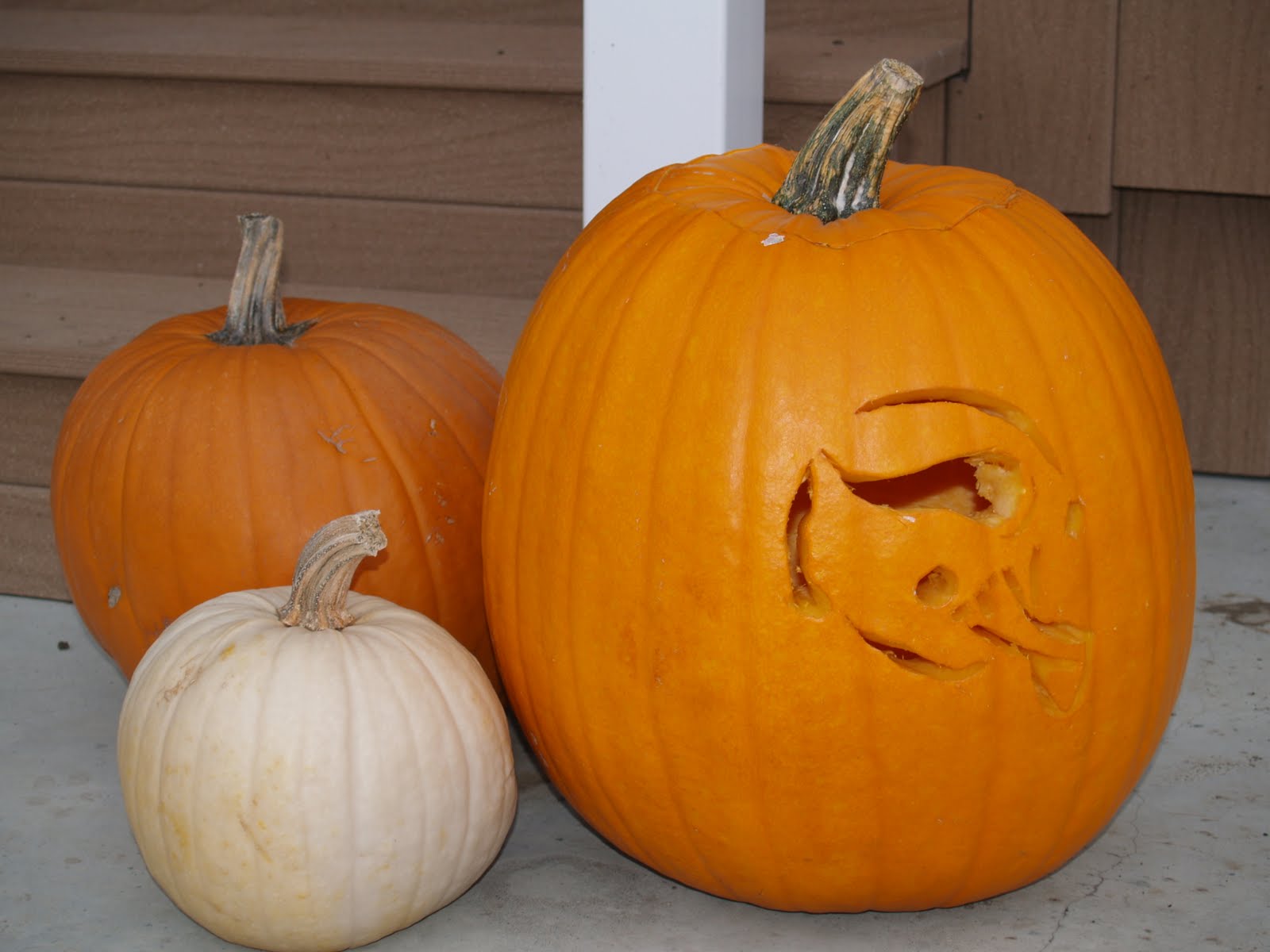 [Halloween09+015.jpg]