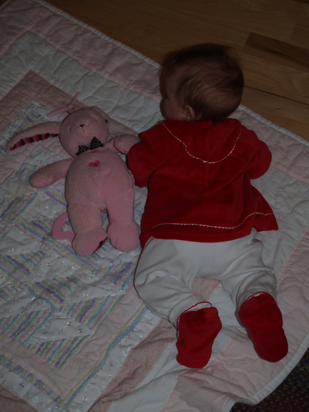 [anika_iris_5mo_120109+003.jpg]