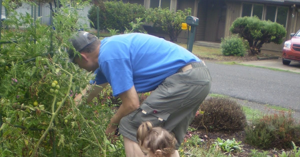 Finding My Way The Great Zucchini Hunt