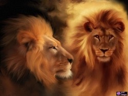 [worldofwildcat1.jpg]