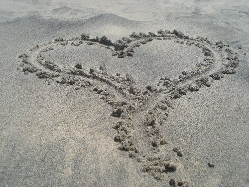 [2597536562_20a08bd8e9.jpg]