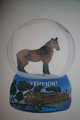 snow globe 40