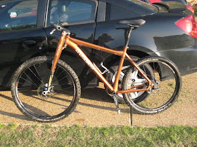 2009 trek 69er