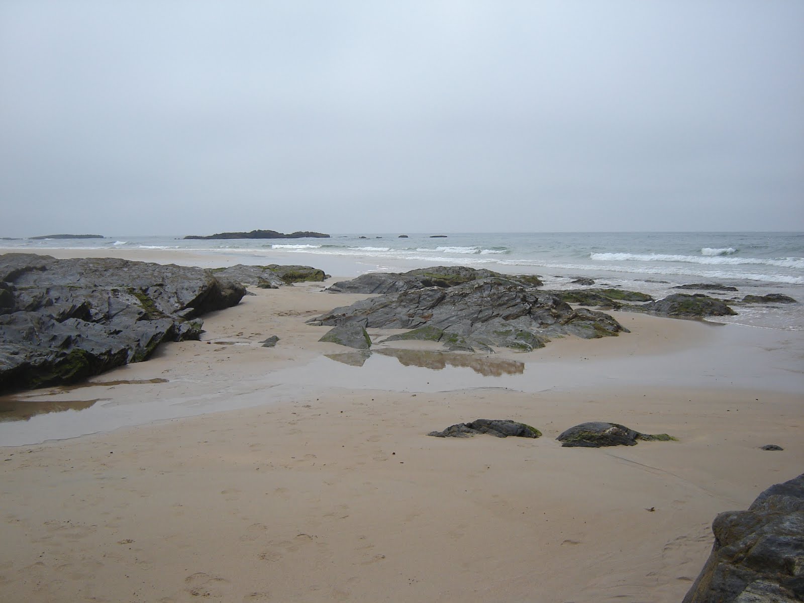 [DSC05601.JPG]