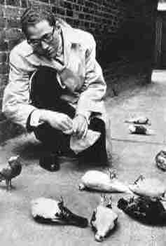 [lehrer%20pigeons.jpg]