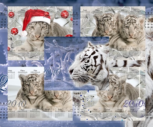 2010 White Tiger Calendars Wallpapers Pack Size 229 Mb