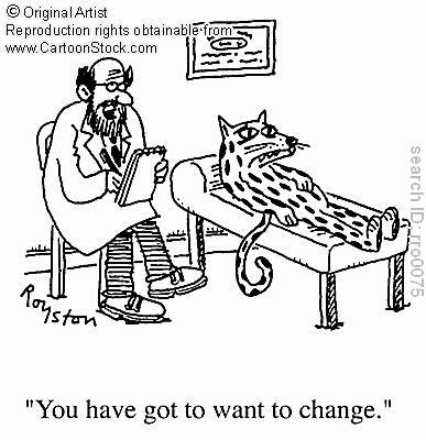 English idioms,sayings and expressions: A leopard cannot change its