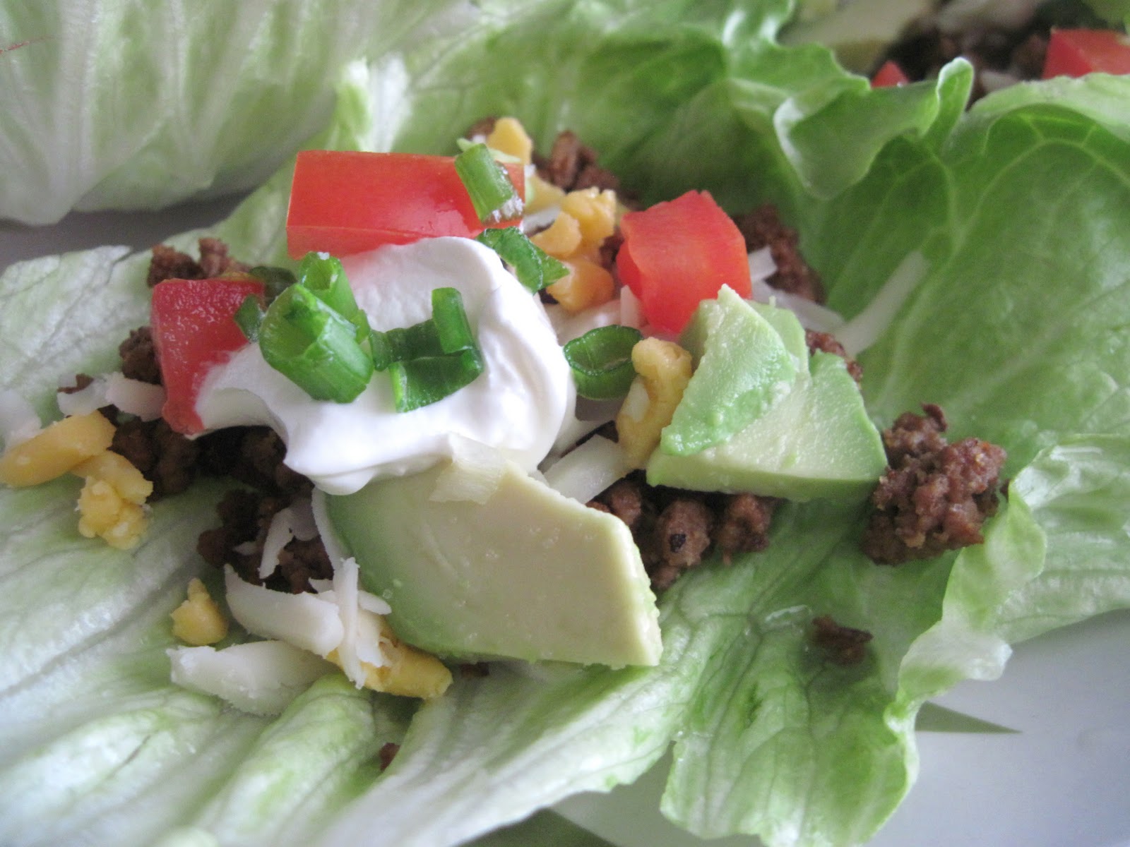 Luscious Low Carb Mexican Lettuce Wraps