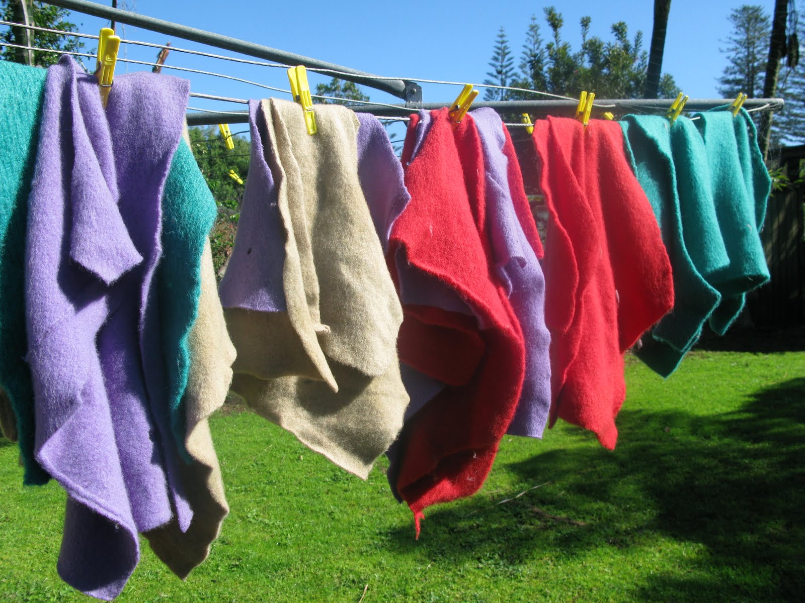 Ed Vogue's World Will my washing dry?