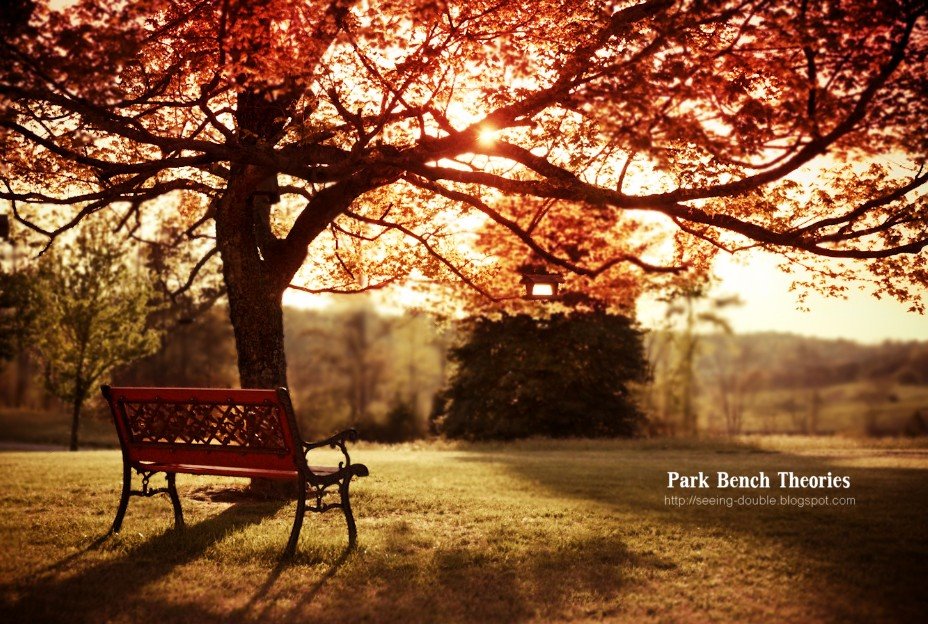 Park Bench Theories