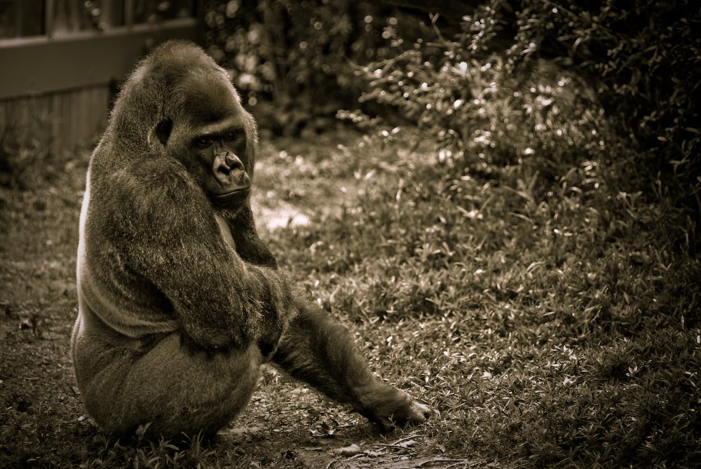 [zoo+(116+of+181).jpg]