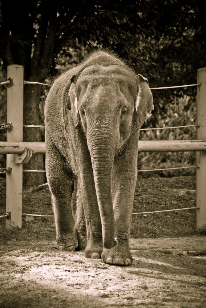 [zoo+(144+of+181).jpg]