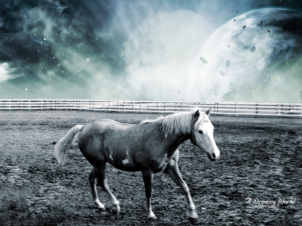 [Animals_Horses_The_Horse_005137_.jpg]