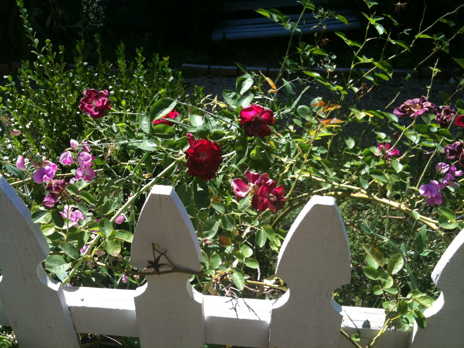 CARRIAGE HOUSE FRENCH COUNTRY COTTAGE