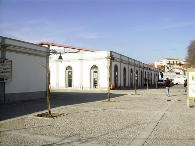 [IMGP0449.JPG]