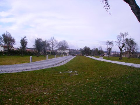 [IMGP5435.jpg]