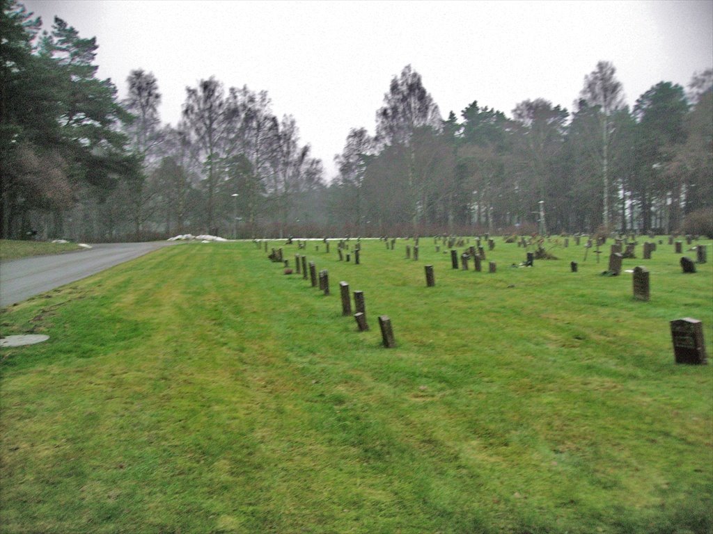 [pics_006.jpg]