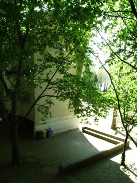 [IMGP3986_450x600.JPG]