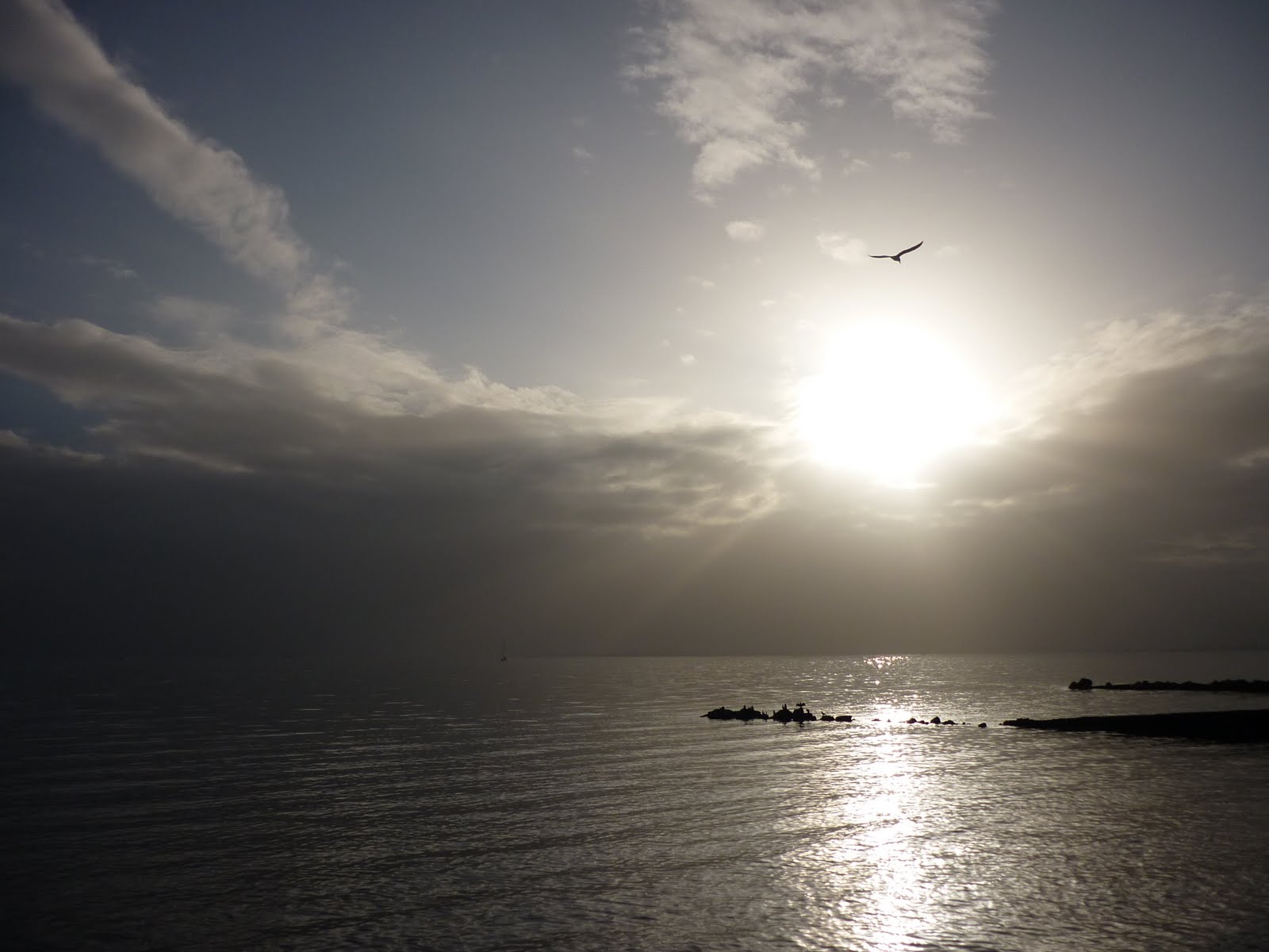 Find an example of onomatopoeia in "Dream.