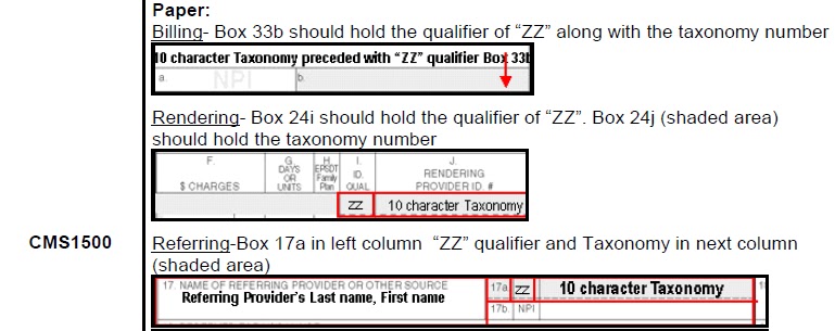 Taxonomy code is constructed