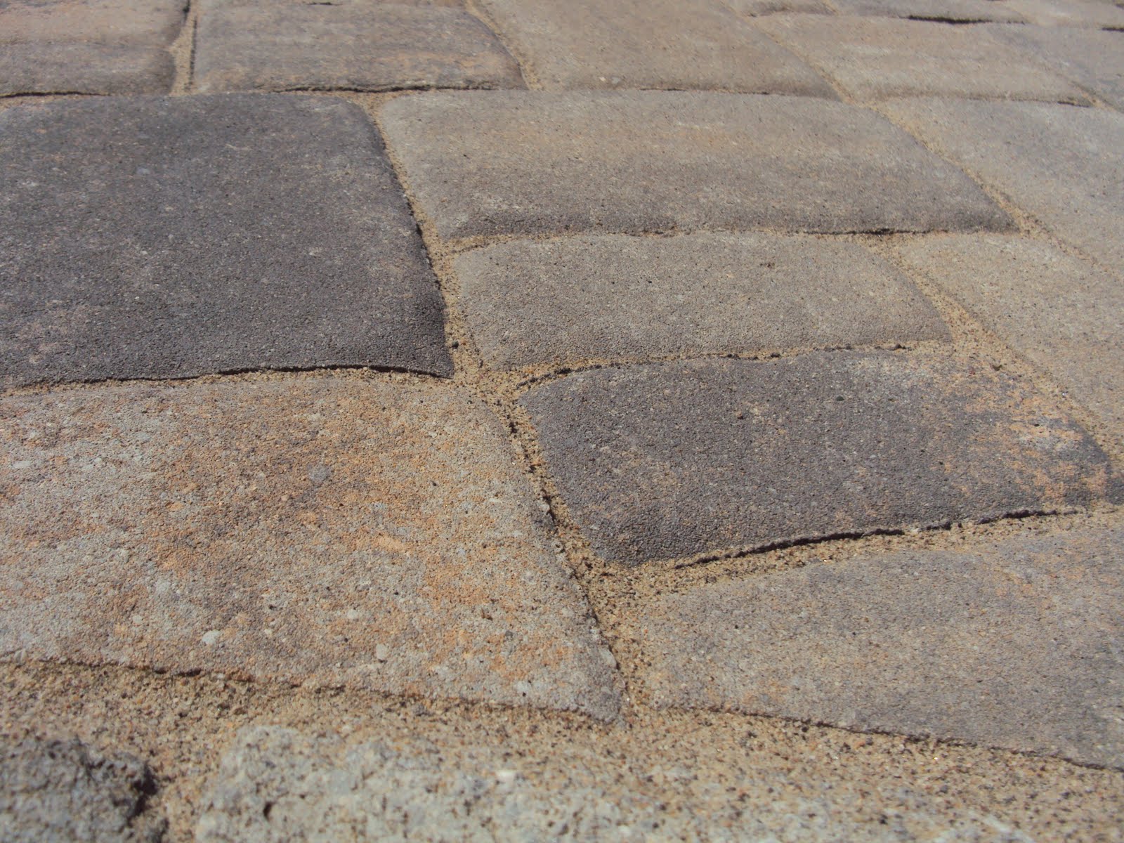 Portly Groundskeeper: Summer Project: Paver Patio