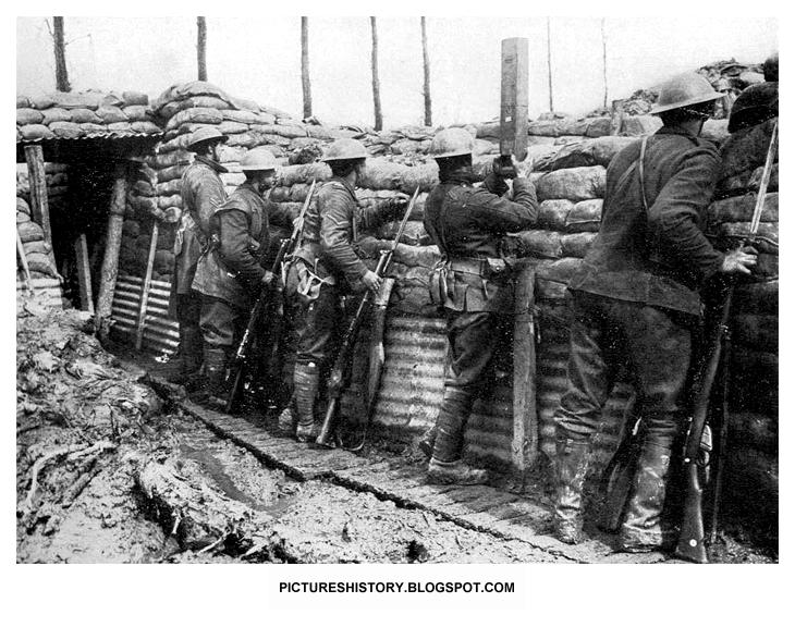 First World War Casualties. The First World War: Trench