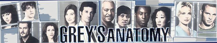[BANNER_GreysAnatomy+3.JPG]